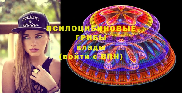 крисы Алексин