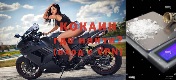 крисы Алексин