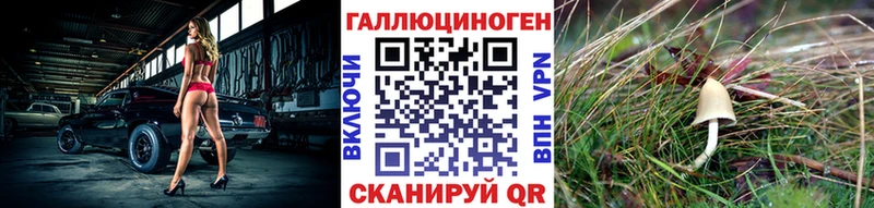 Псилоцибиновые грибы Cubensis  где найти   Нюрба 